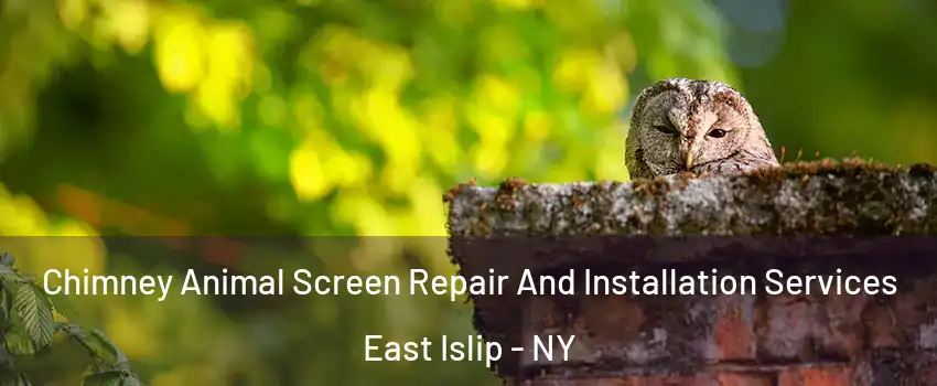  Chimney Animal Screen Repair And Installation Services East Islip - NY