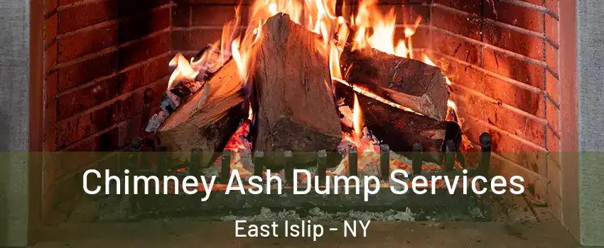  Chimney Ash Dump Services East Islip - NY