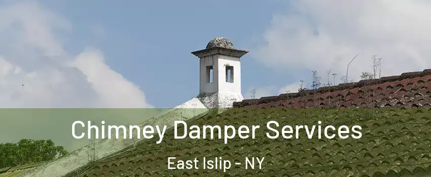  Chimney Damper Services East Islip - NY