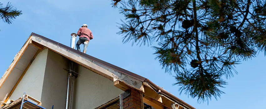 Birds Removal Contractors from Chimney in East Islip, NY