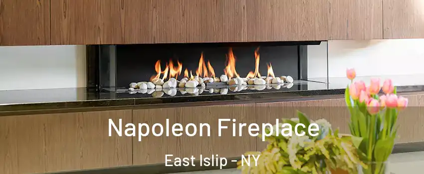  Napoleon Fireplace East Islip - NY